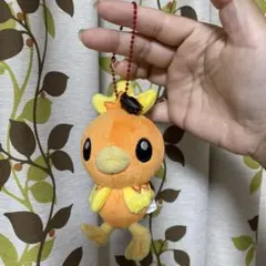 レア　希少　ポケモン アチャモ　連れ歩きマスコット　ポケモンセンター　ぬいぐるみ
