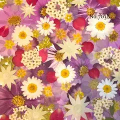 ♡new♡ ♡訳ありの押し花！大容量セット♡