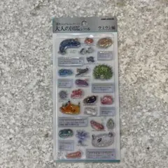 正規品　大人の図鑑シール　3Dビジュアルコレクション　ウミウシ編　新品