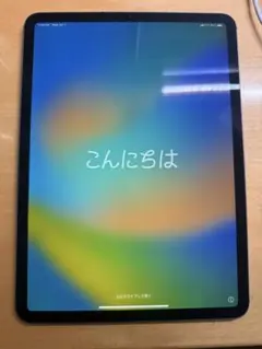 iPad Pro Wi-Fi + Cellular 11インチ 第2世代128G