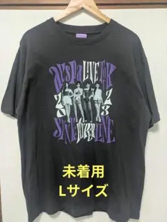 aespa 東京ドーム Tシャツ Lサイズ グレー 200名限定 当選 ワーナー 新品未使用】aespa Tシャツ L-size東京ドーム 2024 - メルカリ