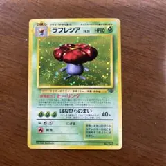 【旧裏】ラフレシア
