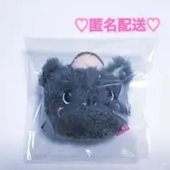 NCT WISH WOSHDOLL りく くり RIKU 리쿠 - メルカリ
