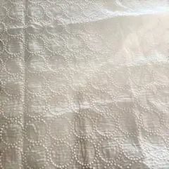 Item thumbnail for item 8f1a68ea-6a8a-447b-b4aa-7ebd9df9cf6a