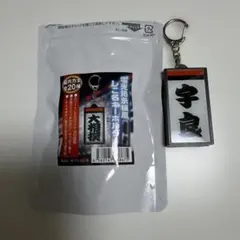 【宇良】電光掲示板風 しこ名キーホルダー 大相撲 両国国技館限定ガチャ