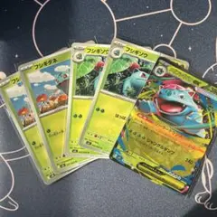 ポケモンカード　メガフシギバナex　進化ライン