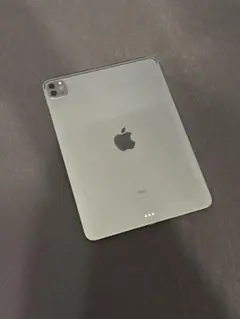 【第3世代】iPad Pro 11インチ Wi-Fi 256GB スペースグレイ
