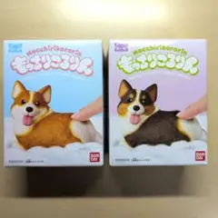 もっちりころりん ぷりぷりコーギー ２種セット