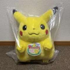 ポケットモンスター ポケモン30周年記念 おかえり！ ピカチュウ1/1