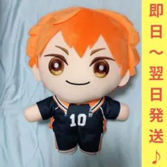 ハイキュー！！ミニコレ！BIGぬいぐるみ1　 日向翔陽