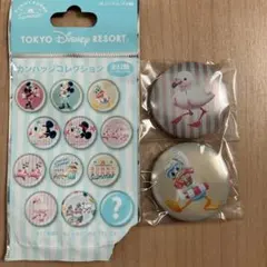 ディズニー　カンバッジコレクション　サニーサニーサマー　ドナルド　フラミンゴ