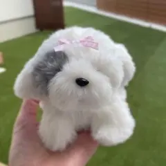 2025年最新】シーズーぬいぐるみの人気アイテム - メルカリ