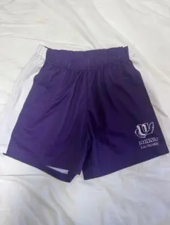 Item thumbnail for item 27979842-14a9-4178-8bd6-46df16dfe71f