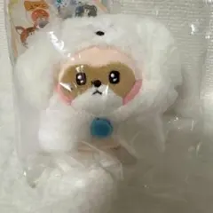ZB1 ZERONI ぬいぐるみ トレカ ハニニ ジャンハオ セット - メルカリ