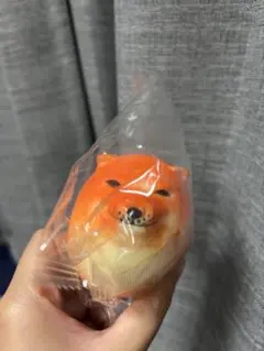 お取引様専用ページ