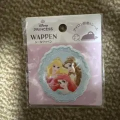Disney プリンセス ワッペン アイロン接着シール
