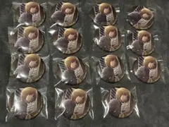 アルミン・アルレルト 「進撃の巨人 season3 キャラバッジコレクション」