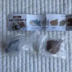 木彫りの動物たち マスコットフィギュア3 2体セット ほほじろさめ アカエイ