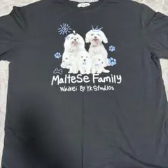 ワイケイ　WaiKei Tシャツ