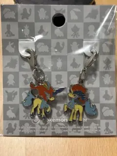 ポケモンセンター 全国ずかん メタルチャーム アリゲイツ＆オーダイル