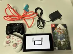 【動作確認済み】訳ありNintendo Switch 本体2020年　おまけ付きのサムネイル