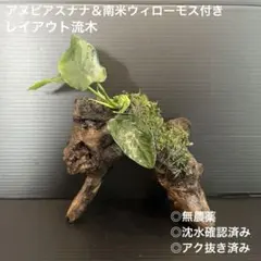 2026年最新】ADA 流木、の人気アイテム - メルカリ