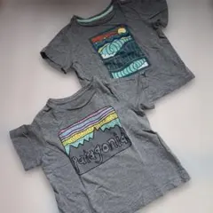 Patagonia 半袖Tシャツ 2枚セット グレー