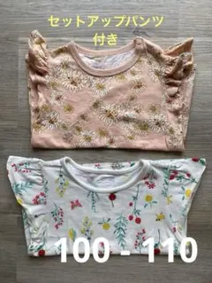 PAUL & JOE 花柄フリルトップスレギンス・インセクトランド