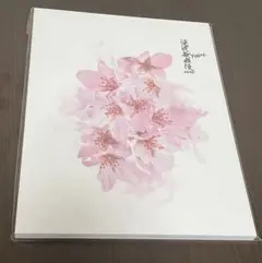 【美品】滝沢歌舞伎ZERO FINAL パンフレット　SnowMan