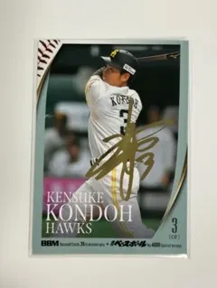 Item thumbnail for item f7747f81-a05c-4b27-965a-fe197596cbb1