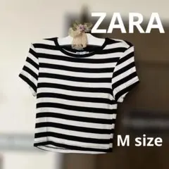 ZARA ボーダー クロップドTシャツ