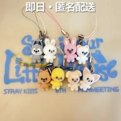 Straykids スキズ 本国 ペンミ ミニチャーム 8種コンプ 129. Straykids ペンミ ミニチャーム 8種 コンプリート - メルカリ