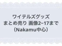 ワイテルズ Nakamu グッズ まとめ売り