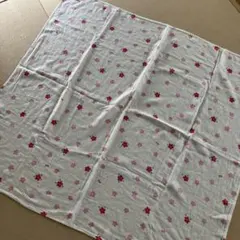 Item thumbnail for item 433c49a2-98f0-4125-b021-0d6bdf9a669c