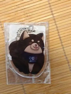 忠犬もちしば　ダイカット アクリルBCごま　キーホルダー ボールチェーン付き