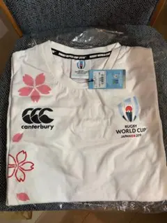 Item thumbnail for item 1acdcfc0-89e9-44e1-8d08-1a0ddba4fdcc