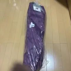 Item thumbnail for item c190cf48-27e2-4c1a-aee4-340502feaf5c