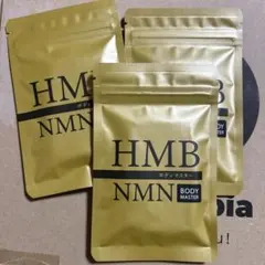 HMB ボディマスター2袋 ヒロミ監修説明書付き - メルカリ