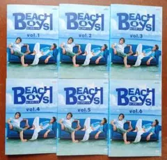 ケース付 ビーチボーイズ DVD 全6巻+スペシャル 全巻セット 反町隆史