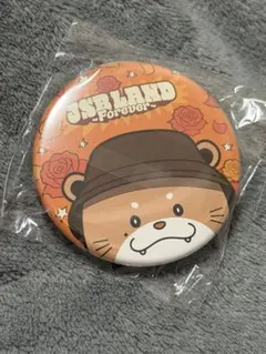10/10-15発送可！NAOTO　缶バッジ2個セット