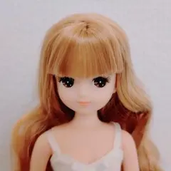 リカちゃんキャッスル2023年6月DS69モデルみらい5 - メルカリ