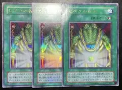 遊戯王 セベクの祝福3枚セット 2点目無料 4356 - メルカリ
