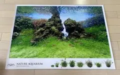 ＡＤＡ　ポスター　非売品 5bfe8800f431d08fd0d802bab92e64