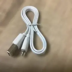 USBケーブル　USB-A→ ライトニング　& microUSB