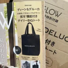 付録　保冷機能付きデイリービックトート　箱無しで発送予定