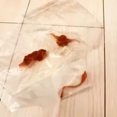 モンハン　ラージャン　クリアカラー　ボーナスパーツ