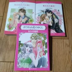 許されぬ愛のゆくえ　等3冊セット