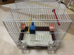 Item thumbnail for item 14a696e9-4dfe-4bd0-bdd7-ba46be302d61