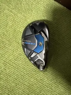 2025年最新】パラダイム ユーティリティ 5uの人気アイテム - メルカリ