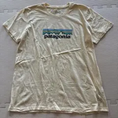 patagonia パタゴニア オーガニックコットン Tシャツ M